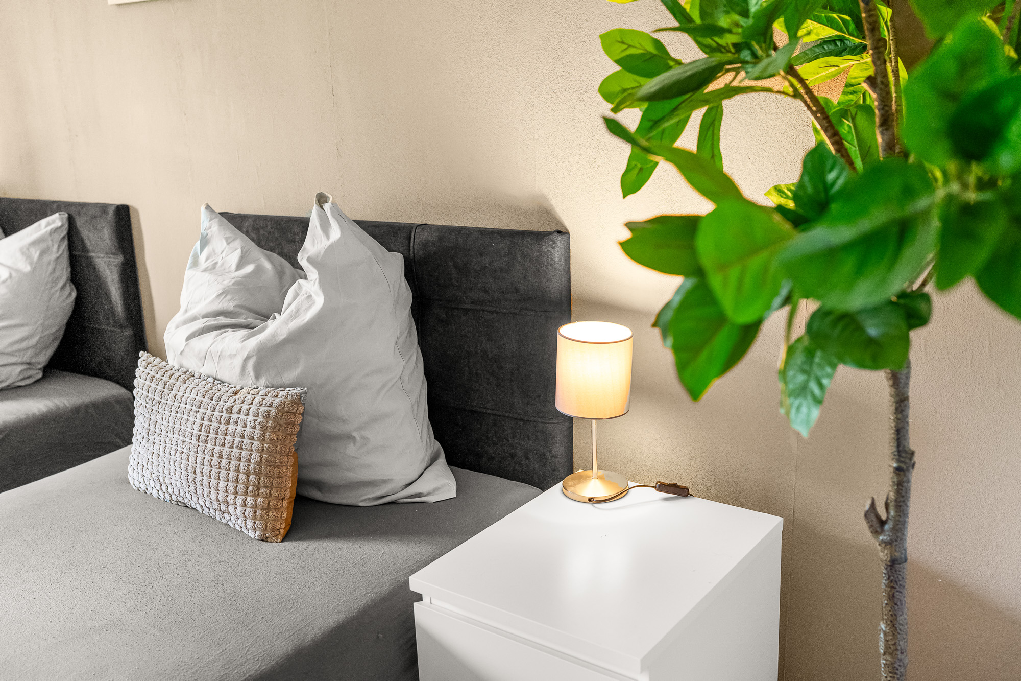 Loftigo behind the scenes